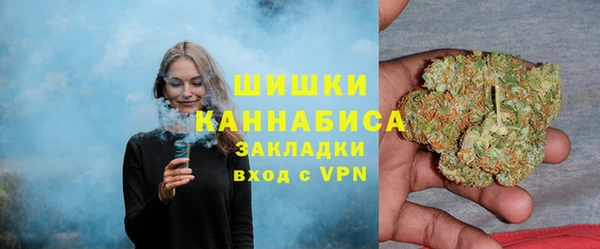 стаф Волосово