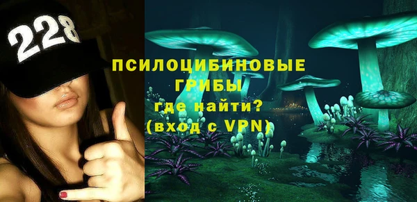 стаф Волосово