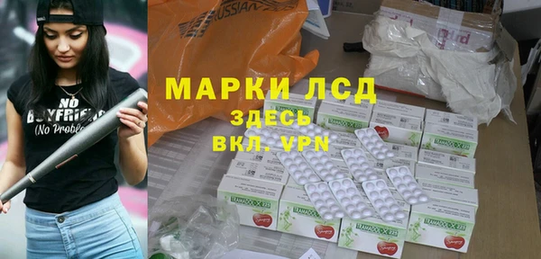 стаф Волосово