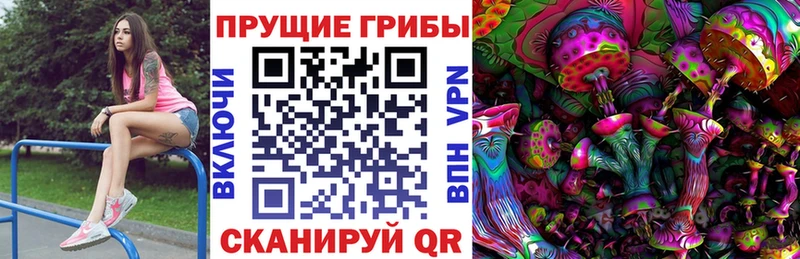 Псилоцибиновые грибы GOLDEN TEACHER MEGA сайт Кашира
