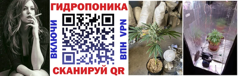 Канабис гибрид  закладка  Кашира 